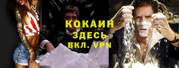 крисы Данков
